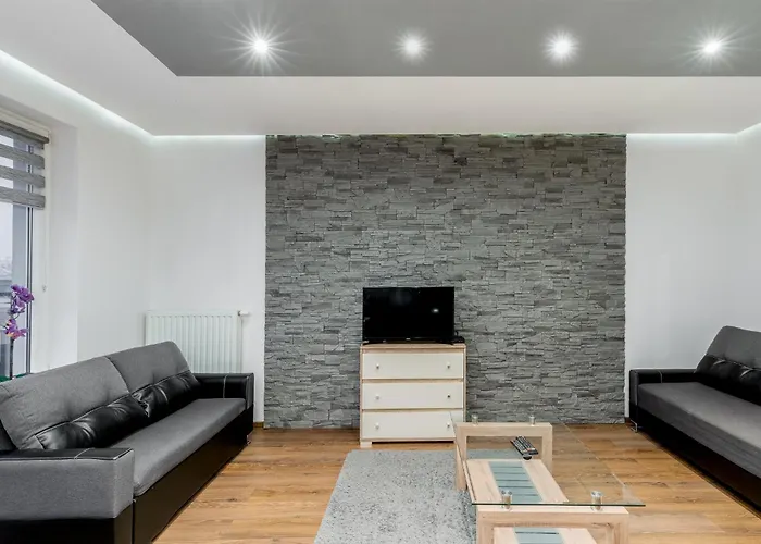 Danka Comfort Studio